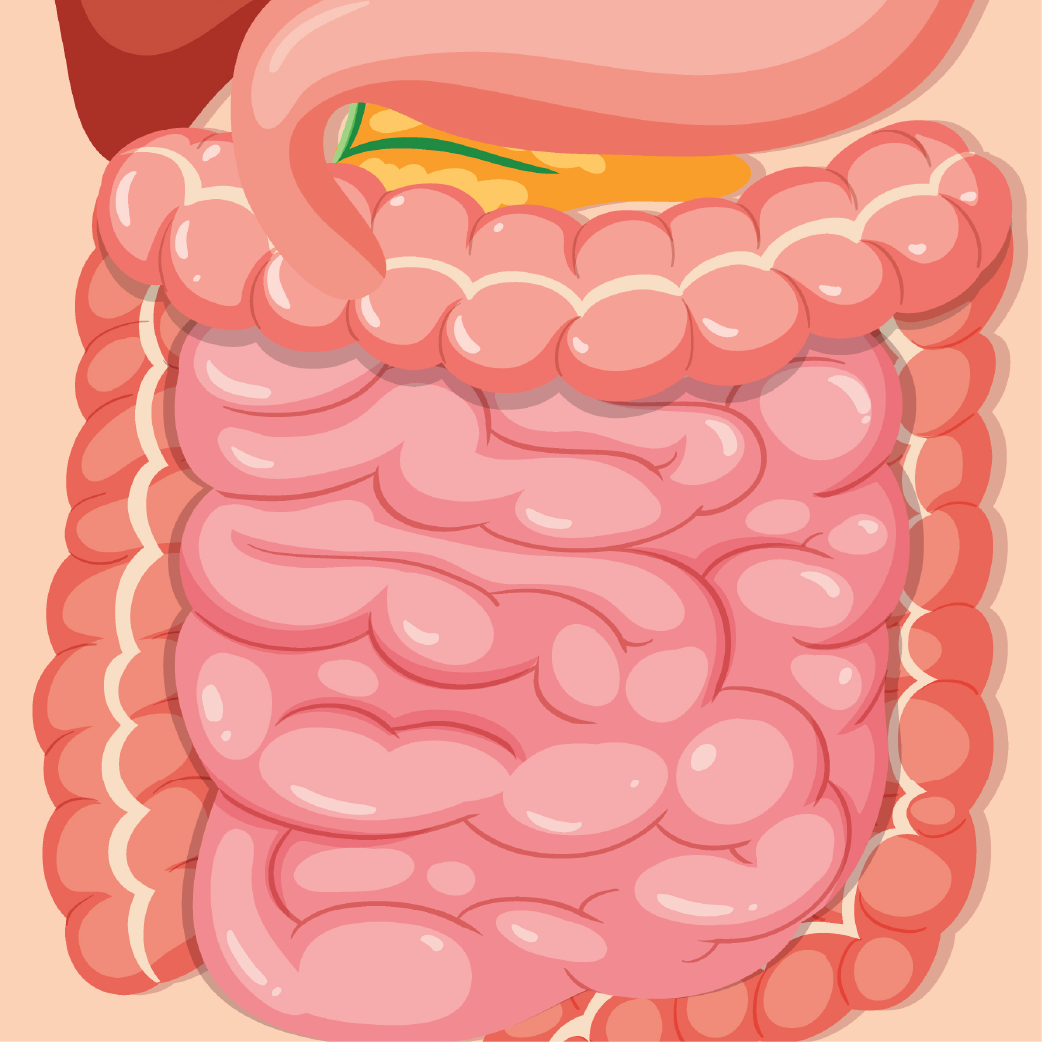 GI Map Testing | Diagnostic Solutions